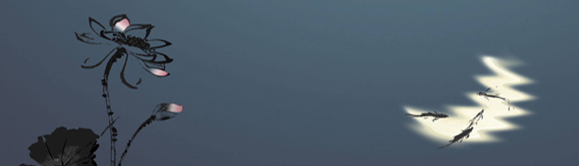 杜久林研究組發現控制光偏好行為的神經環路機制